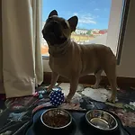 Ξενοδοχείο Duo Lisbon, Curio Collection By Hilton 4*