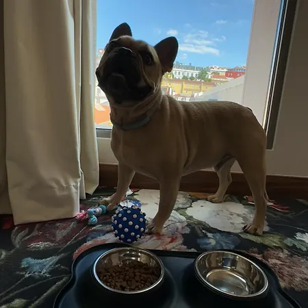 Otel Duo Lisbon, Curio Collection By Hilton 4*